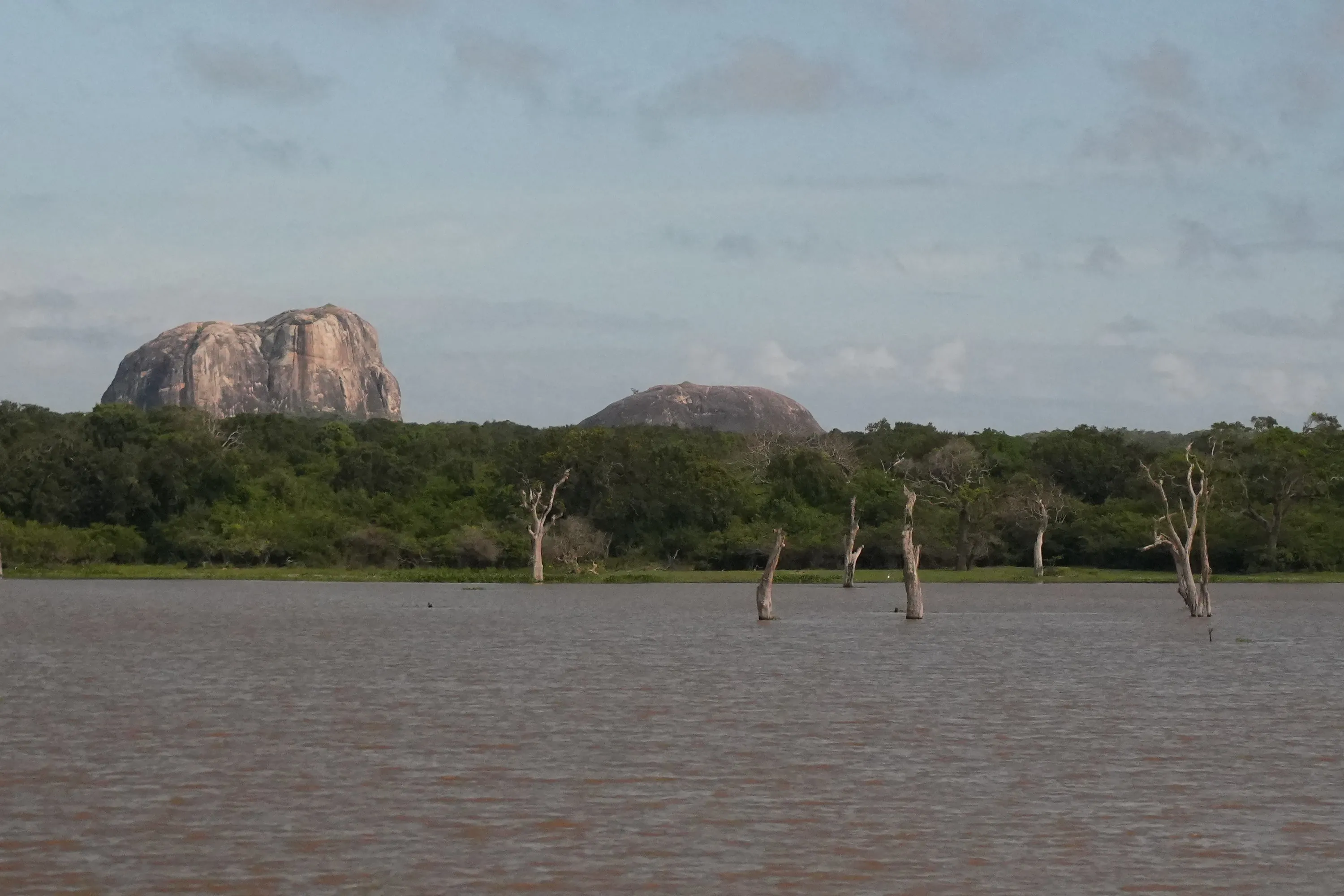 Elephant Rock rising above the treeline across the water