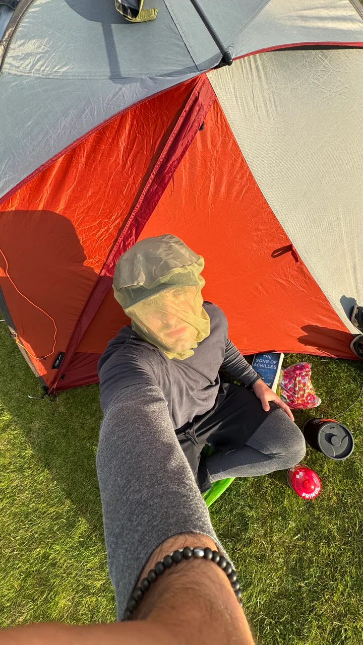 Against the midges