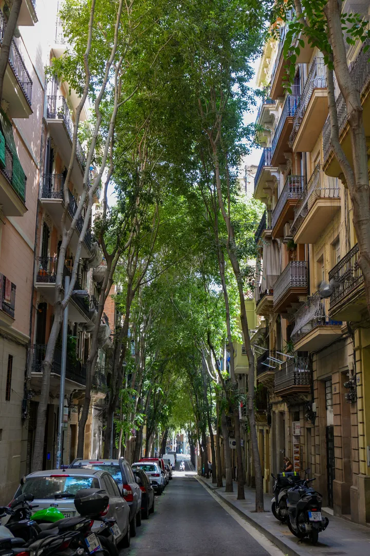 arbres del Poble Sec