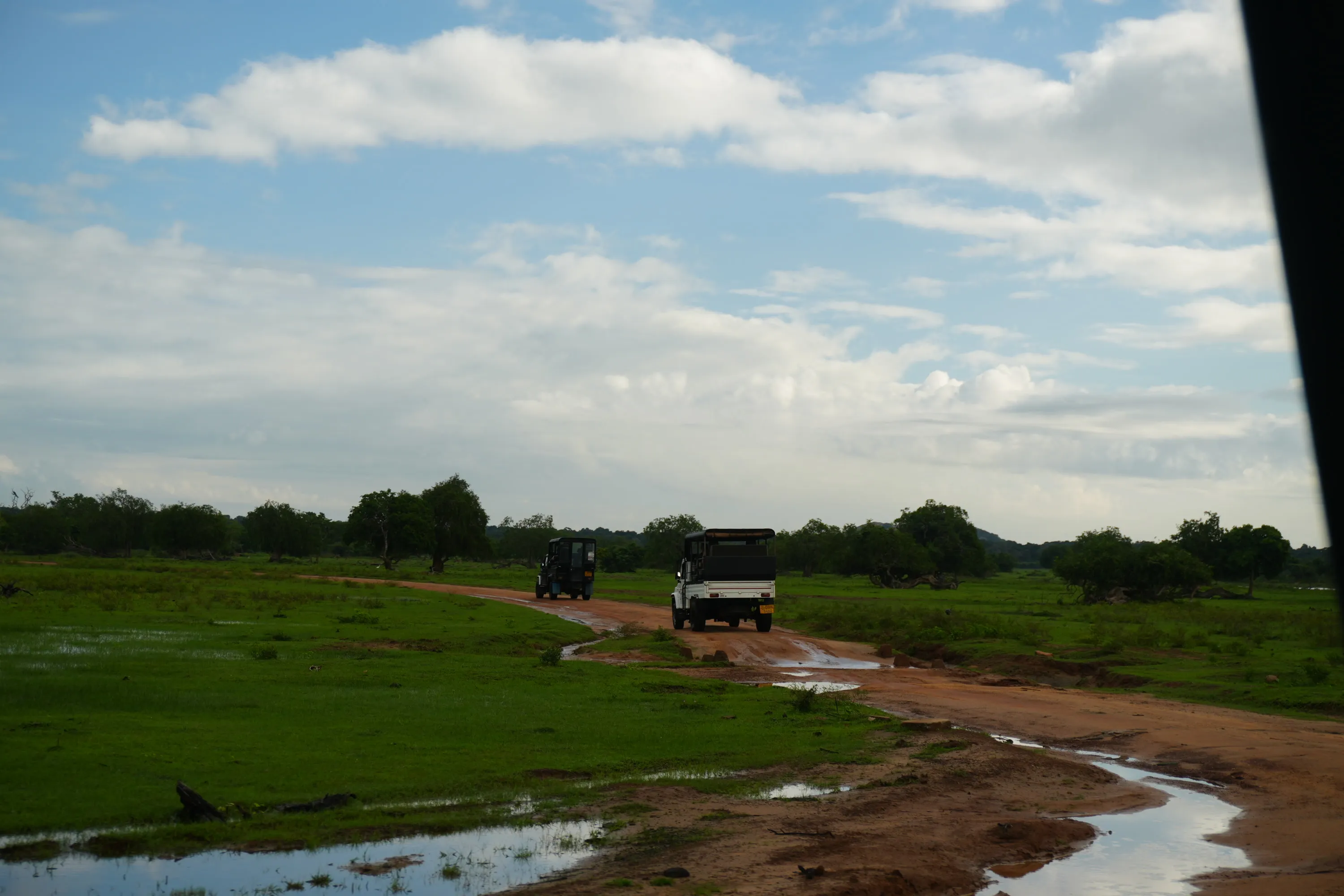 Two safari jeeps on a wet track crossing open grassland