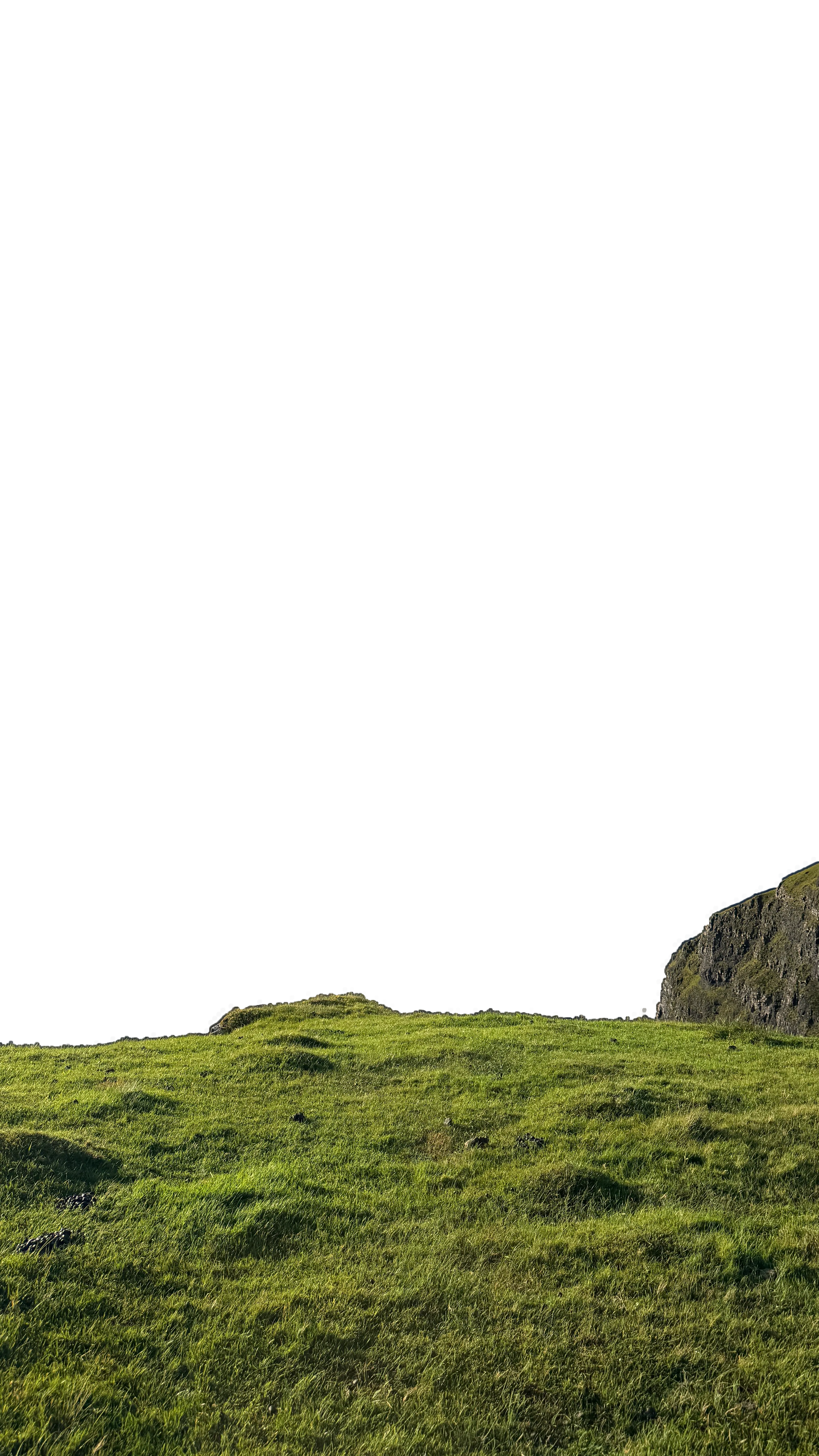 The ridge